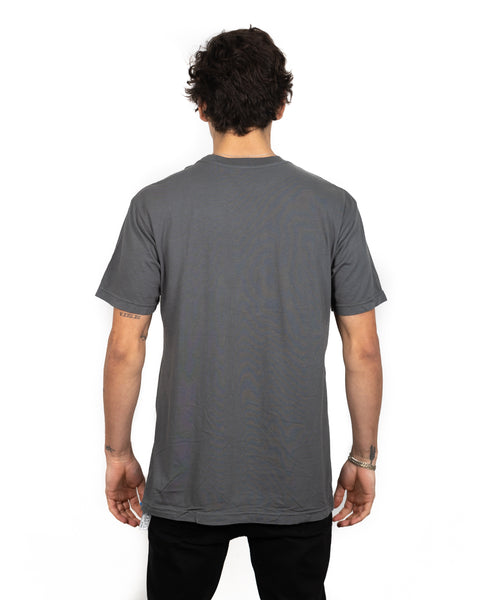 Unisex T-Shirt Gray